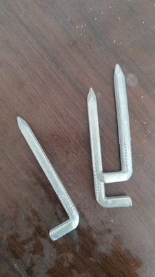 Des clous carrés en forme de tête en L avec une surface galvanisée à chaud de 30 à 60 mm